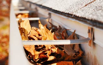 Kelsterton gutter cleaning companies